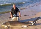 7'11" Bull Shark