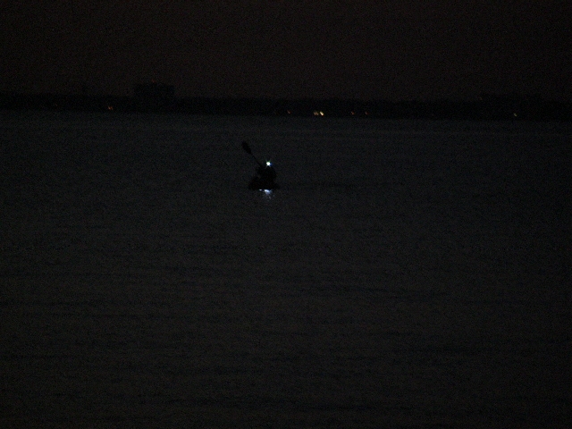 FLORIDA SHARK FISHING » Blog Archive » Pensacola Florida Shark Fishing Trip