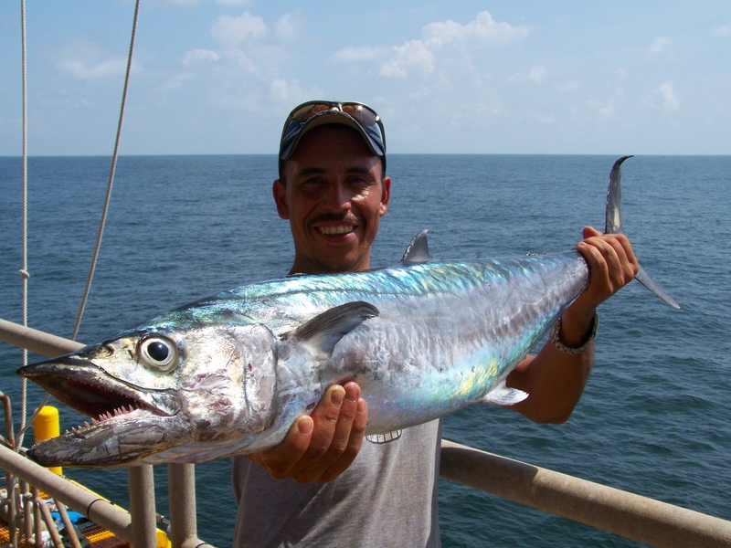 Kingfish