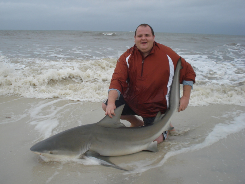 bull shark. Raoul Lopez, Bull Shark Bret