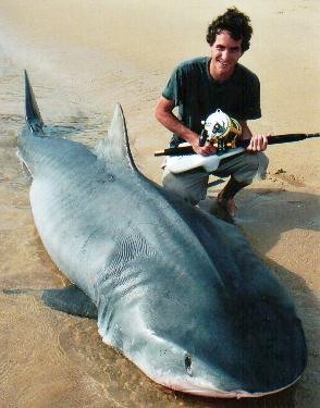 Simon Harmon with Massive Tiger Shark