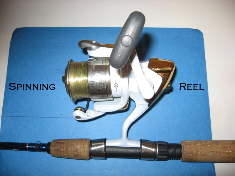 Spinning Reel