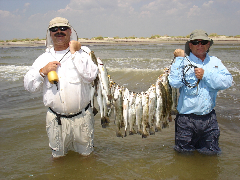 Stringer of Trout