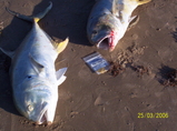 000_0172.JPG