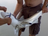 0719080926.jpg