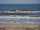 100_0114.JPG