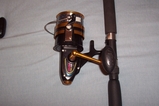 100_0421.JPG