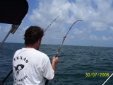 100_1250.JPG