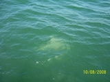 100_1269.JPG