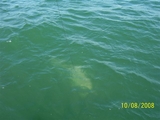 100_1270.JPG