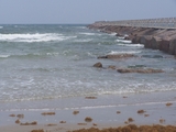 100_1424.jpg