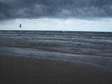100_3342.jpg