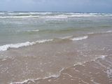 100_3501.jpg