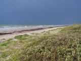 100_3639.jpg