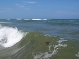 100_3943.jpg