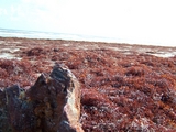 100_4339.jpg