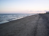 100_9165.JPG