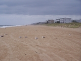 2009_beach_001.jpg