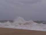 2009_beach_017.jpg