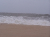 2009_beach_023.jpg