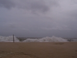 2009_beach_029.jpg