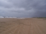 2009_beach_030.jpg