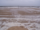 2009_beach_034.jpg