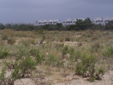 2009_beach_042.jpg