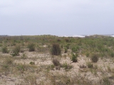 2009_beach_043.jpg