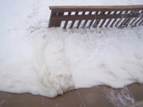 2009_beach_074.jpg