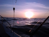 2011-08-21_07_21_18.jpg