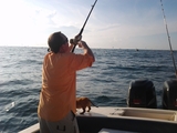 2011-08-21_08_25_27.jpg