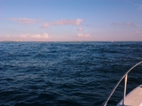 2011-08-21_08_33_29.jpg