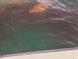 2011-08-21_08_37_08.jpg