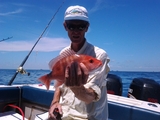 2011-08-21_12_37_14.jpg