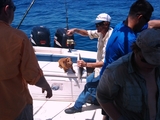 2011-08-21_13_13_50.jpg