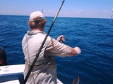 2011-08-21_13_34_49.jpg