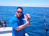 2011-08-21_13_36_13.jpg