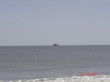 4-13-08_Holly_Beach_005.jpg