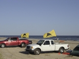 4-13-08_Holly_Beach_007~0.jpg