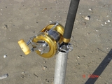 4-13-08_Holly_Beach_011~0.jpg