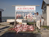 Adventurer1.JPG