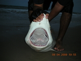 August_2009_012.jpg