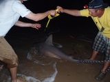Bryan_Beach_Texas_019.jpg