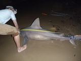 Bryan_Beach_Texas_020.jpg