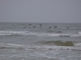 Bryan_Beach_Texas_050.jpg