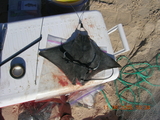 Bryan_beach_trip_11-08-2008_001.jpg