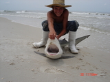 Cape_San_Blas_Jun_28_-_Jul_3_2008_052.jpg
