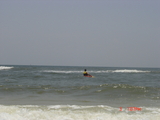 DSC02996.JPG