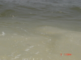 DSC03006.JPG